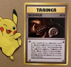 2026年最新】なにかの化石の人気アイテム - メルカリ