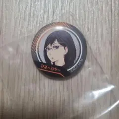 ハイキュー 烏野高校 清水潔子 作戦盤缶バッジ