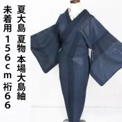 未着用！夏大島＊７マルキ＊本場大島紬＊夏物＊着物＊１５６ｃｍ＊裄６６＊７号位の方のサムネイル