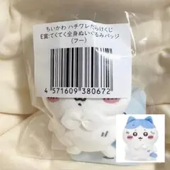 ちいかわ ハチワレだらけくじ E賞 てくてく全身ぬいぐるみバッジ　フーのサムネイル