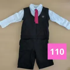 フォーマルセットアップ110