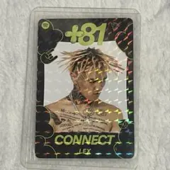 LEX POPYOURS 【美品】