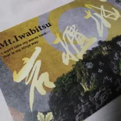 Item thumbnail for item 988efea2-ed9f-43dc-828f-6a1fa1ea0385