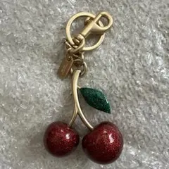 2026年最新】コーチ キーホルダー チェリーの人気アイテム - メルカリ