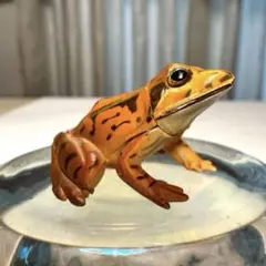 カエル リアル ニホンアカガエル 海洋堂 チョコエッグ 日本の動物 フィギュアのサムネイル