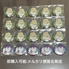 さざ波シリーズ 名探偵コナン アプリ缶バッジ メアリー 秀吉