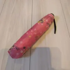 Item thumbnail for item 8139f872-14fd-4344-949c-63f25c60531e