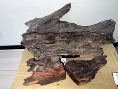 水槽用 流木