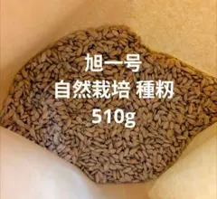 2026年最新】コシヒカリ種籾の人気アイテム - メルカリ