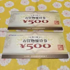 ヤマダ電機　YAMADA HDGS. 株主優待券 ¥500 2枚セット
