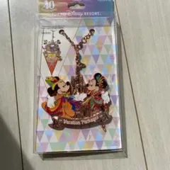 ディズニーバケーションパック限定　40周年　バックチャーム