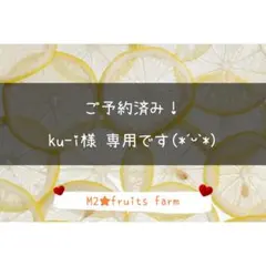 【ꕤ513】不知火デコ【訳あり品☆加工原料】10kg 熊本みかん