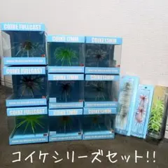 2026年最新】コイケ17mm ソフトマテリアルの人気アイテム - メルカリ