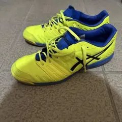 ASICS フットサルシューズ　28.5㎝