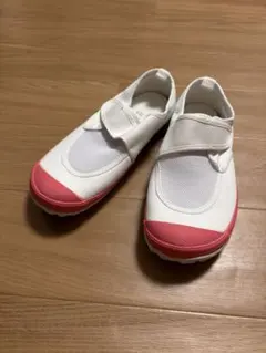 上履き　教育パワーシューズ22.5cmピンク