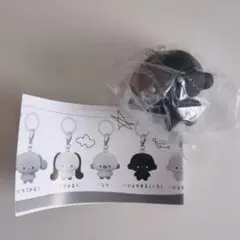 じょせまる　めじるしアクセサリー