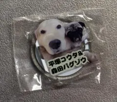 さかがみ家カフェ　ガチャ　アクリルスタンド