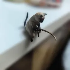 Item thumbnail for item 4e22f843-d8f2-4a36-ab0d-e065b3869cd8