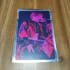 浦島坂田船　うらたぬき　ランダムフォトカード