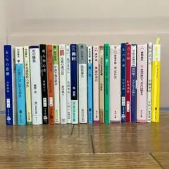 小説まとめ売り② (21冊セット)
