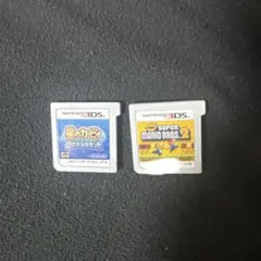 Nintendo 3DS ゲーム2本セット