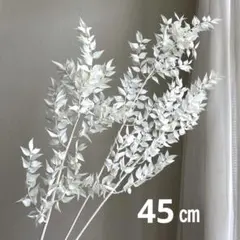 ルスカス　ホワイト　白　ドライフラワー　スワッグ　花材　プリザーブドフラワー