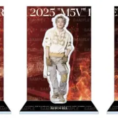 Item thumbnail for item 566038ce-344d-4686-be25-d3a17ba92e78