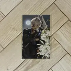 イブラヒム ノスタルジア チェキ