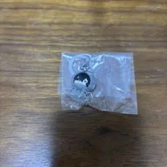 僕のヒーローアカデミア めじるしアクセサリー アニマルver. 相澤消太