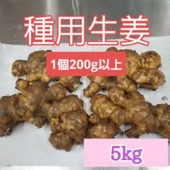 千葉県産　在来生姜　種生姜　5kg　小生姜 千葉県産 在来生姜 種生姜 5kg 小生姜 - メルカリ