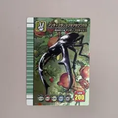2026年最新】5周年 マンディブラリスフタマタクワガタの人気アイテム