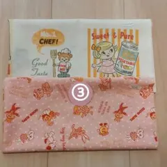 ③LECIEN Little Country Collection はぎれ2枚