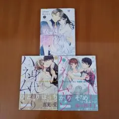 懐妊初夜～一途な社長は求愛の手を緩めない～2&身代わりハネムーン 上下