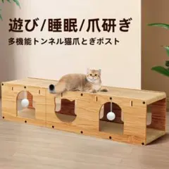 Item thumbnail for item 42668c6c-6fbc-4a9a-a10c-b72df20b7bbe