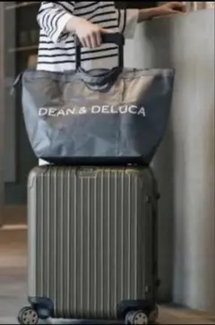DEAN & DELUCA トラベルバック　charcoal gray