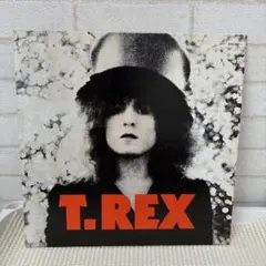 【UKオリジナル盤】T. REX THE SLIDER レコード BLN5001 UKオリジナル盤】T. REX THE SLIDER レコード BLN5001 - メルカリ