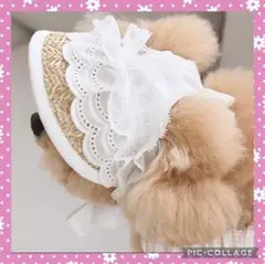 わんわん様 リクエスト 2点 まとめ商品