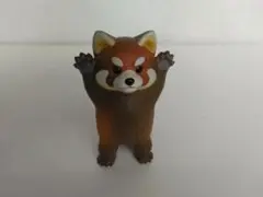 新品 レッサーパンダ