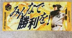 Item thumbnail for item e29bee33-9638-47b4-aee5-184a201860e6