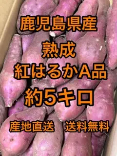 鹿児島県産　熟成紅はるかA品　箱込5キロ Mサイズ　b