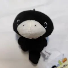 サンエックス　かものはしかも。かものはしダス　マスコット　【匿名配送】