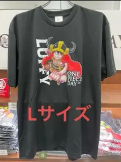 希少！ワンピースデイ2025 限定Tシャツ黒 Lサイズ エルバフ