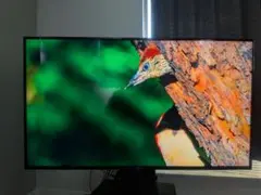たなか さま専用MAXZEN 4K 55インチ 液晶テレビ