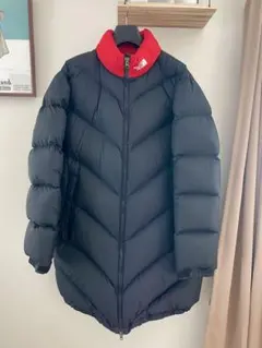 値下げ交渉可！THE NORTH FACE Ascent Coat 希少XL