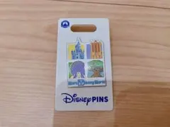 ディズニーワールド　ピンバッジ
