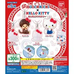 モンチッチ×ハローキティ めじるしアクセサリー 全5種セット コンプリート