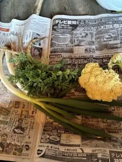 のんちゃん様専用　野菜セット