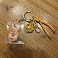 ディズニーリゾート　チップとデール アクリルキーホルダー