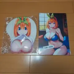 Eternal_Shizue様 リクエスト 2点 まとめ商品