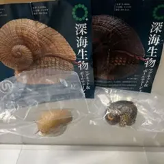 ネイチャーテクニカラー 深海生物ウロコフネタマガイ２種セット